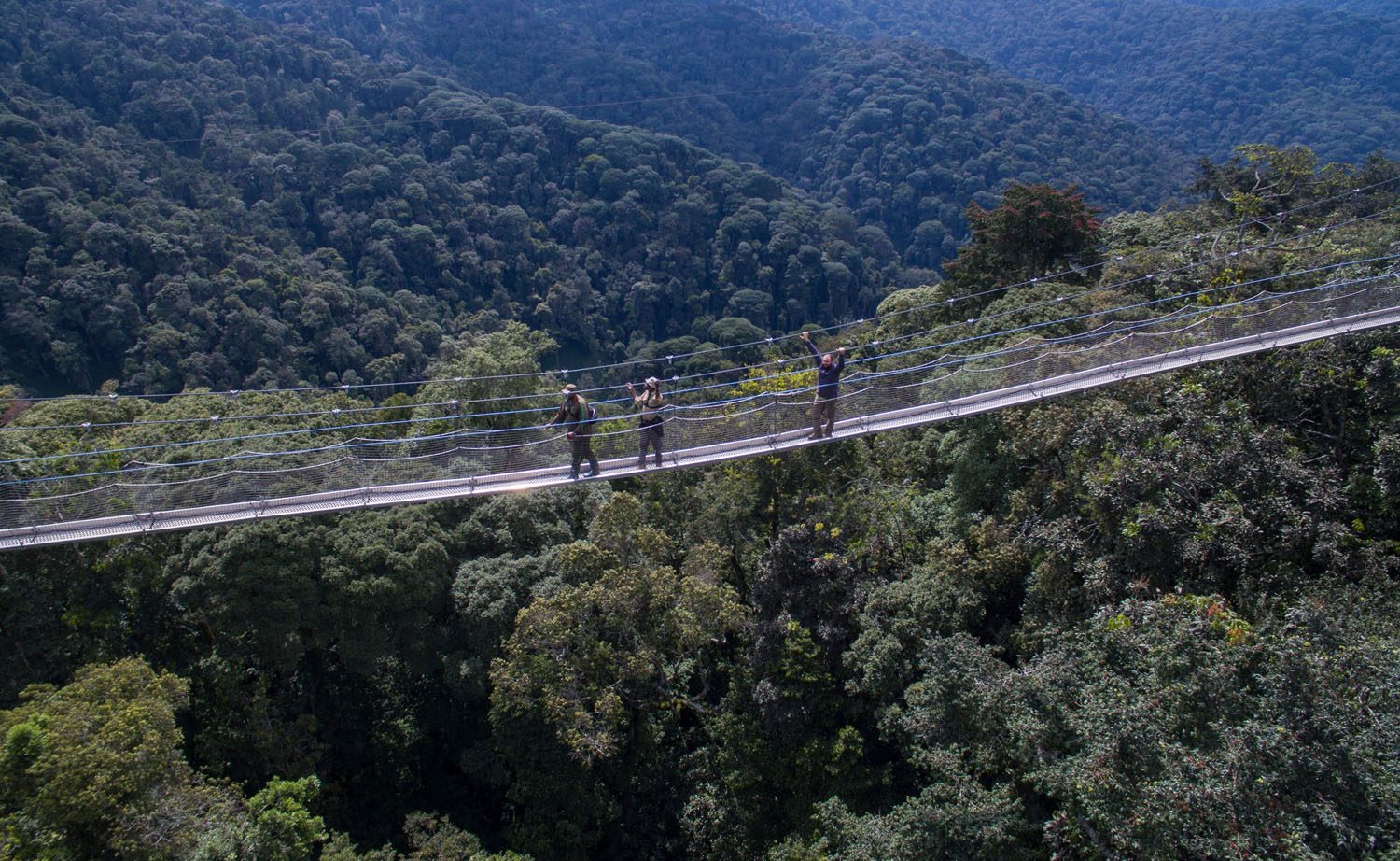 Nyungwe National park