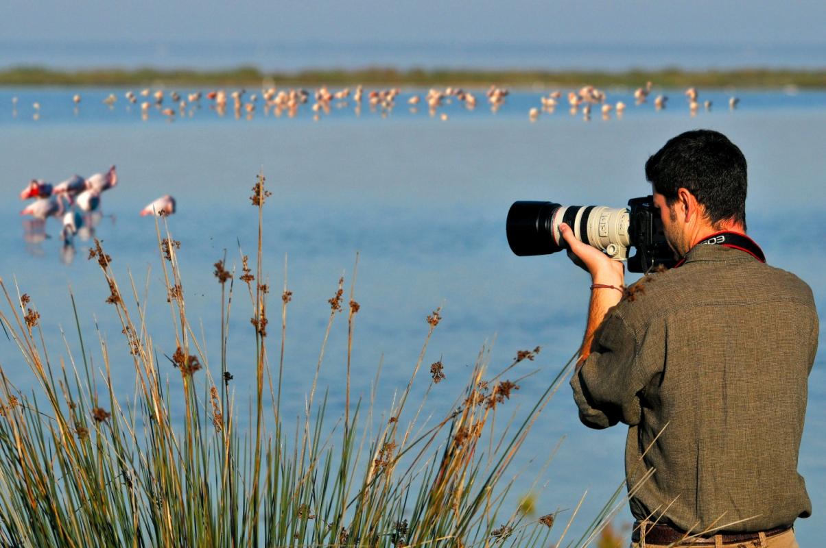 BIRD Watching